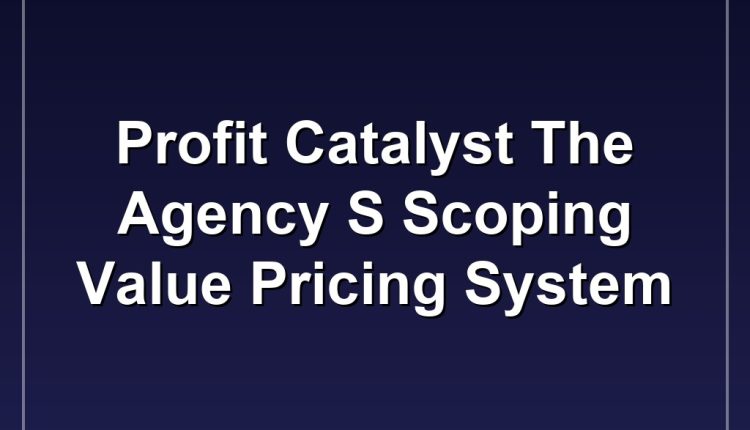 Profit Catalyst The Agency S Scoping  Value Pricing System